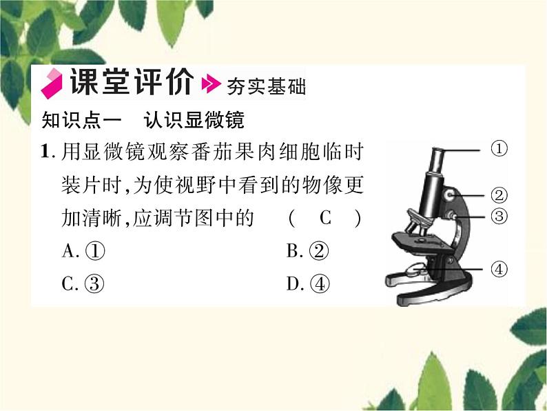 冀少版生物七年级上册 1.1 走进生物实验室课件第7页