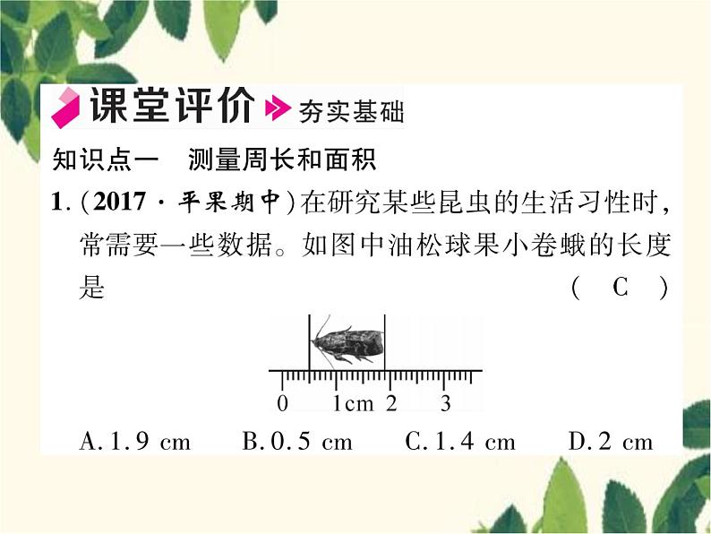 冀少版生物七年级上册 1.3 练习测量课件05