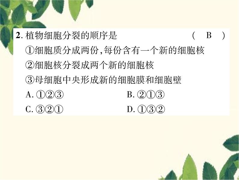 冀少版生物七年级上册 2.1.4 细胞的分裂与生长课件05