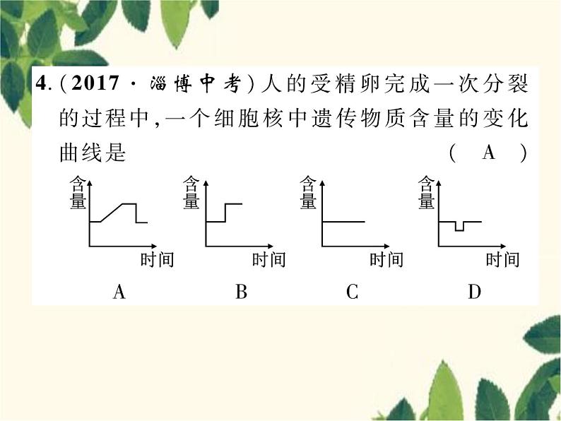 冀少版生物七年级上册 2.1.4 细胞的分裂与生长课件07