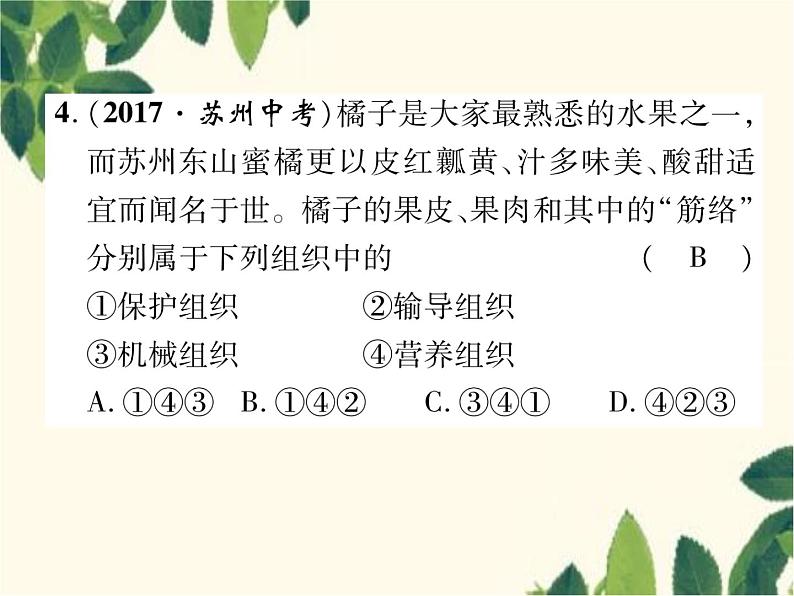 冀少版生物七年级上册 2.2 细胞分化形成组织课件05