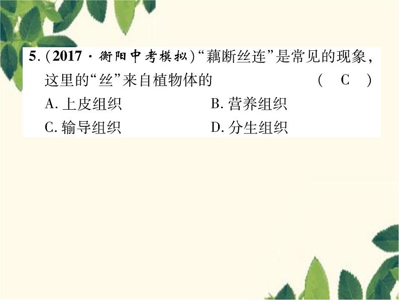 冀少版生物七年级上册 2.2 细胞分化形成组织课件06