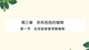 生物七年级上册第一节  在实验室里观察植物图文ppt课件