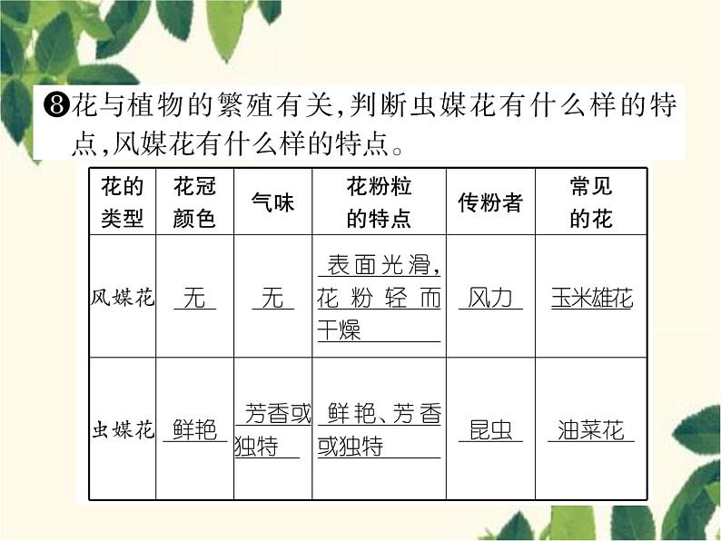 冀少版生物七年级上册 3.1 在实验室里观察植物课件05