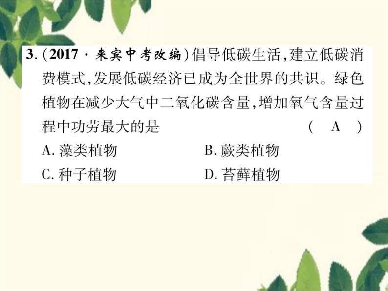 冀少版生物七年级上册 3.3 藻类植物课件06