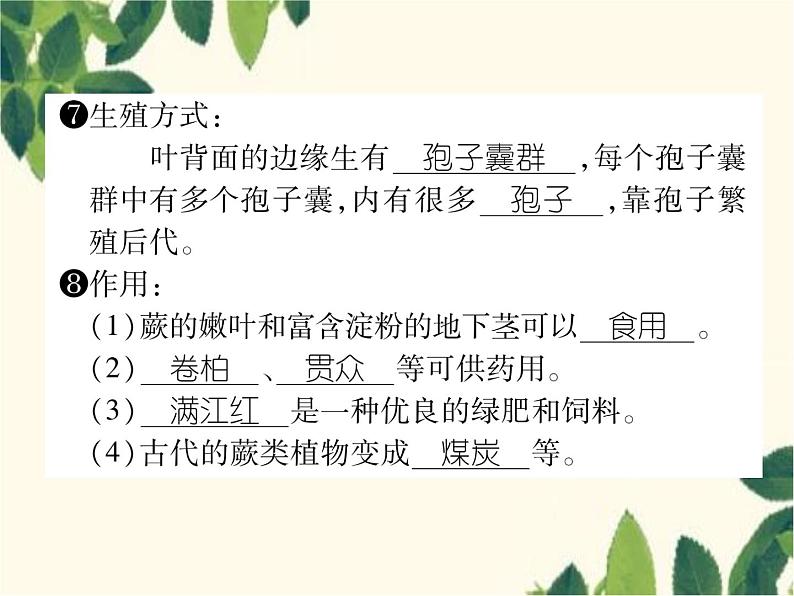 冀少版生物七年级上册 3.4 苔藓植物和蕨类植物课件05