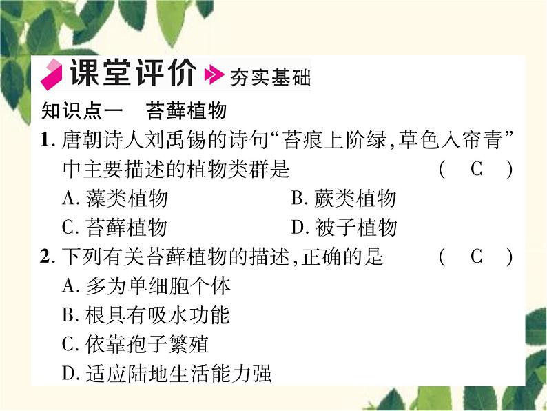 冀少版生物七年级上册 3.4 苔藓植物和蕨类植物课件06