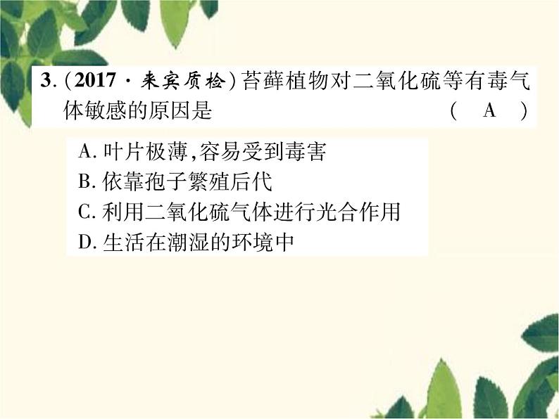 冀少版生物七年级上册 3.4 苔藓植物和蕨类植物课件07