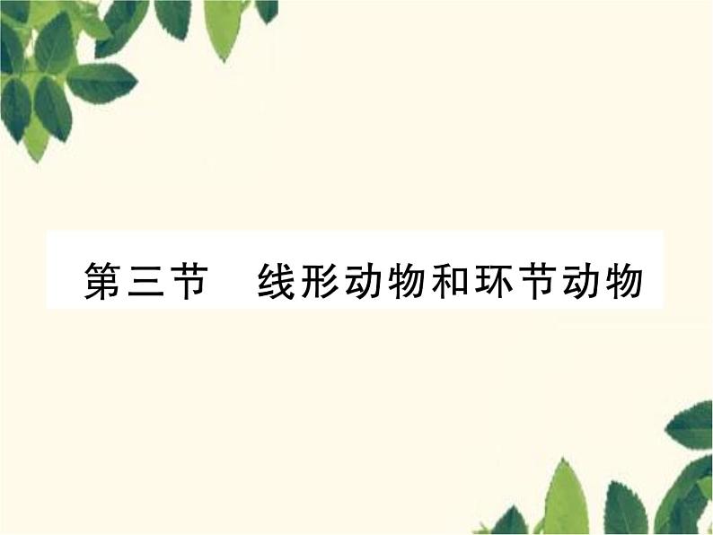 冀少版生物七年级上册 4.3 线形动物和环节动物课件01