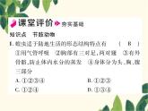 冀少版生物七年级上册 4.5 节肢动物课件