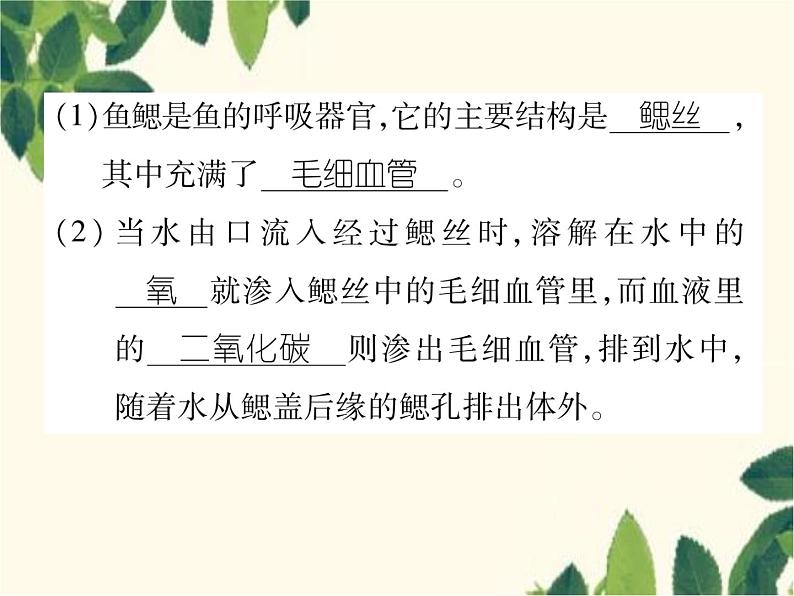 冀少版生物七年级上册 4.6 鱼类课件07