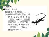 冀少版生物七年级上册 4.7 两栖类和爬行类课件