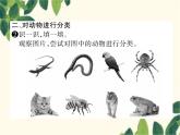 冀少版生物七年级上册 5.1 尝试对生物进行分类课件