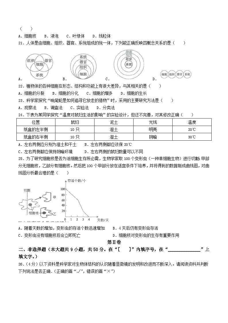 福建省泉州市安溪县2023-2024学年七年级上学期期中生物试题第3页