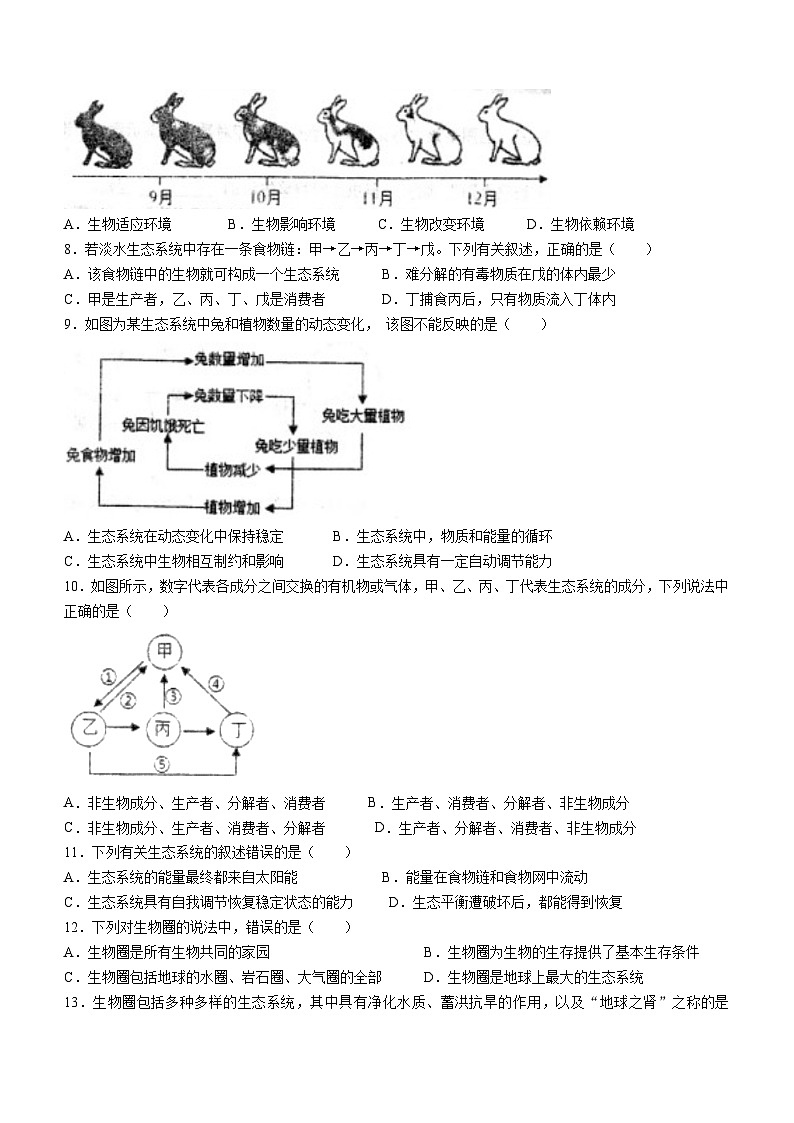 福建省泉州市永春三中片区2023-2024学年七年级上学期期中联考生物试题第2页