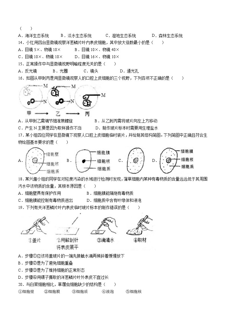 福建省泉州市永春三中片区2023-2024学年七年级上学期期中联考生物试题第3页