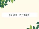 冀少版生物七年级上册 3.6.2 单子叶植物课件