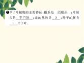 冀少版生物七年級上冊 3.6.2 單子葉植物課件