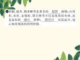 冀少版生物七年級上冊 3.7 我國的珍稀植物課件