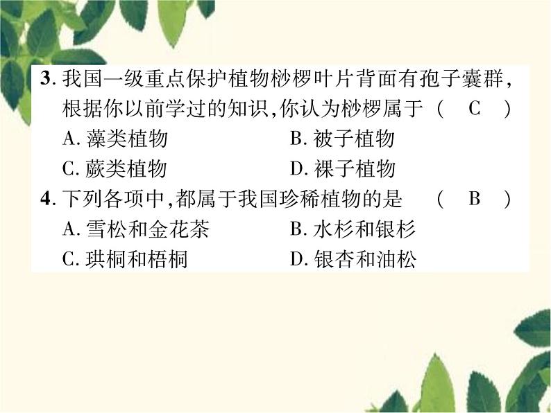 冀少版生物七年级上册 3.7 我国的珍稀植物课件07