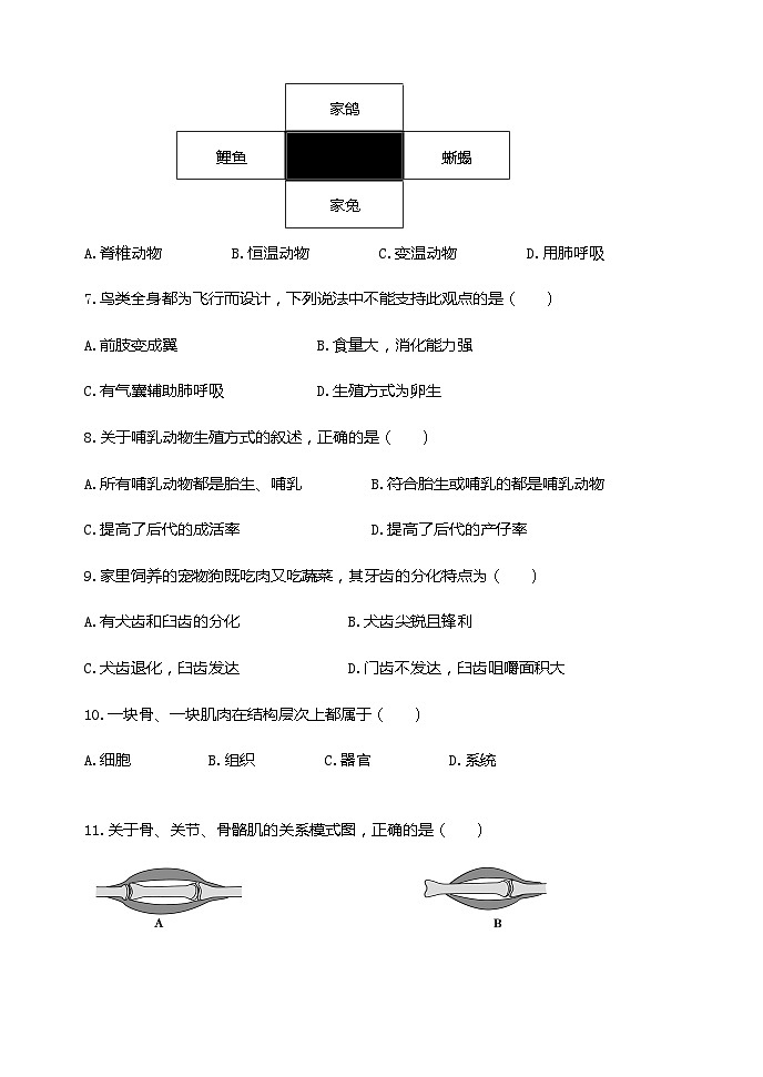 八年级生物上学期期中试卷及答案第2页