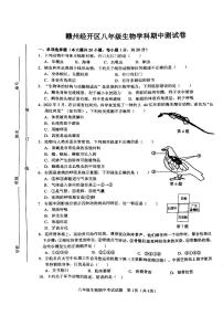 江西省赣州市章贡区2023-2024学年八年级上学期期中生物试题