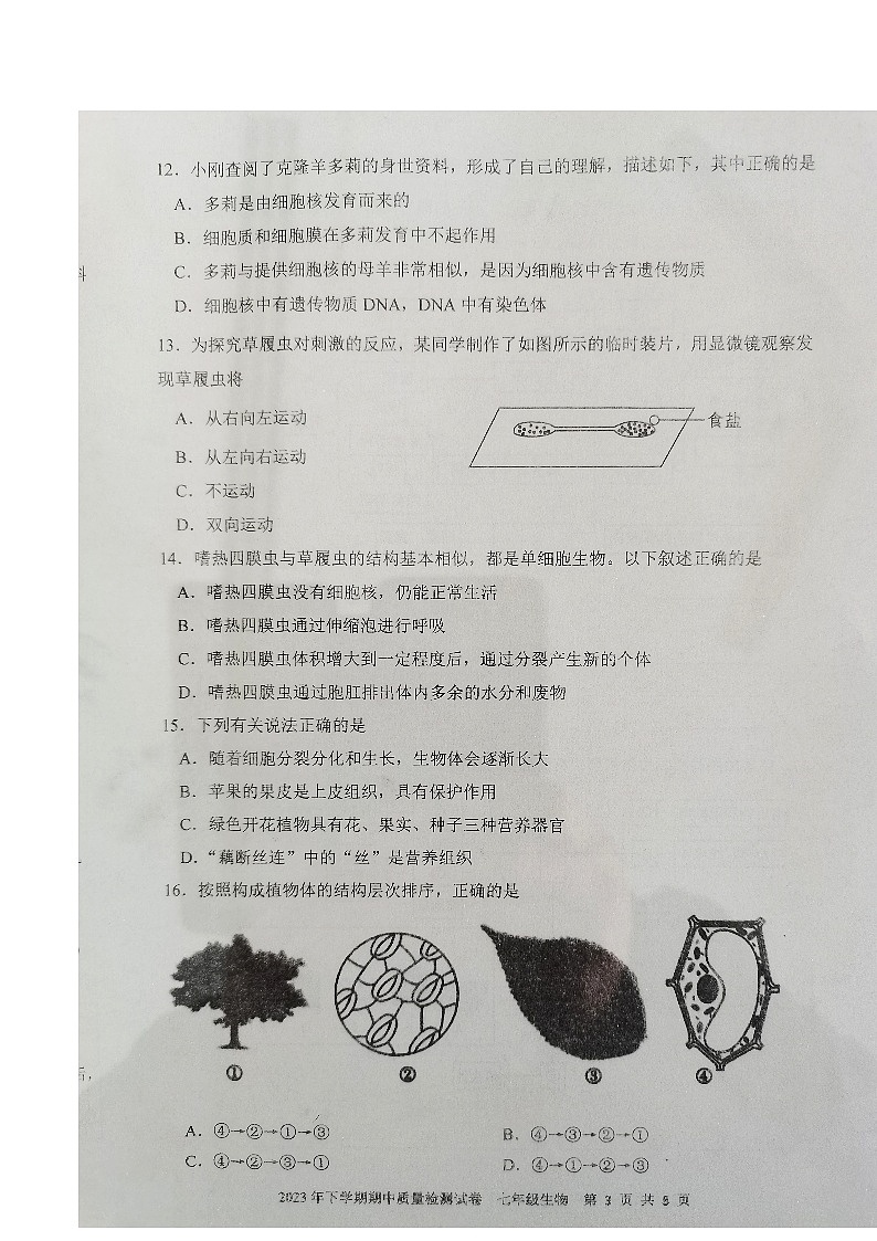湖南省娄底市第一中学多校2023-2024学年七年级上学期期中生物试题第3页