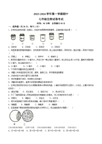 江西省吉安市十校联盟2023-2024学年七年级上学期期中生物试题