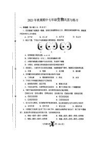 河南省南阳市内乡县2023-2024学年七年级上学期期中生物试题