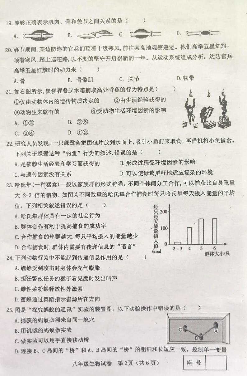 河南省灵宝市2023-2024学年八年级上学期期中学情调研生物测试卷第3页