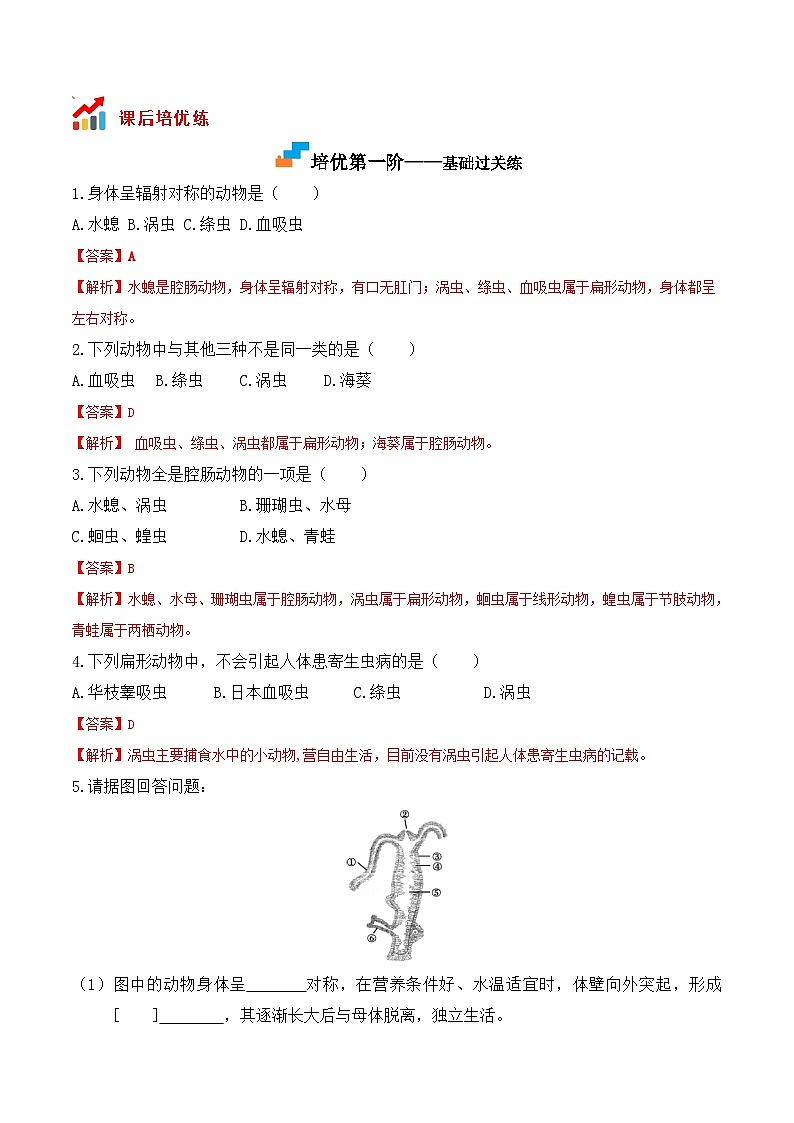 5.1.1 腔肠动物和扁形动物-2022-2023学年八年级生物上册课后培优分级练（人教版）（解析版）第2页