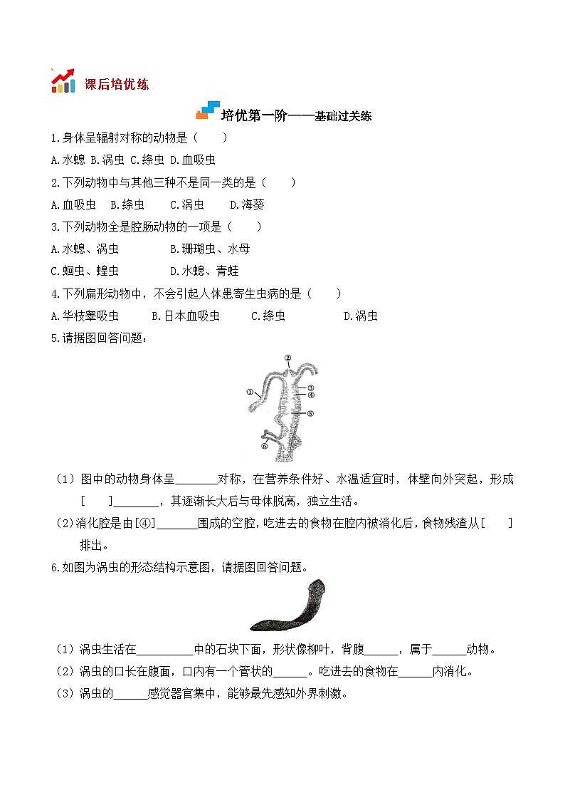 5.1.1 腔肠动物和扁形动物-2022-2023学年八年级生物上册课后培优分级练（人教版）（原卷版）第2页
