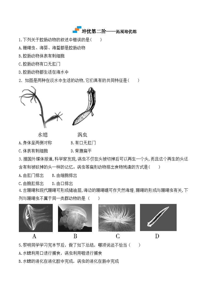 5.1.1 腔肠动物和扁形动物-2022-2023学年八年级生物上册课后培优分级练（人教版）（原卷版）第3页