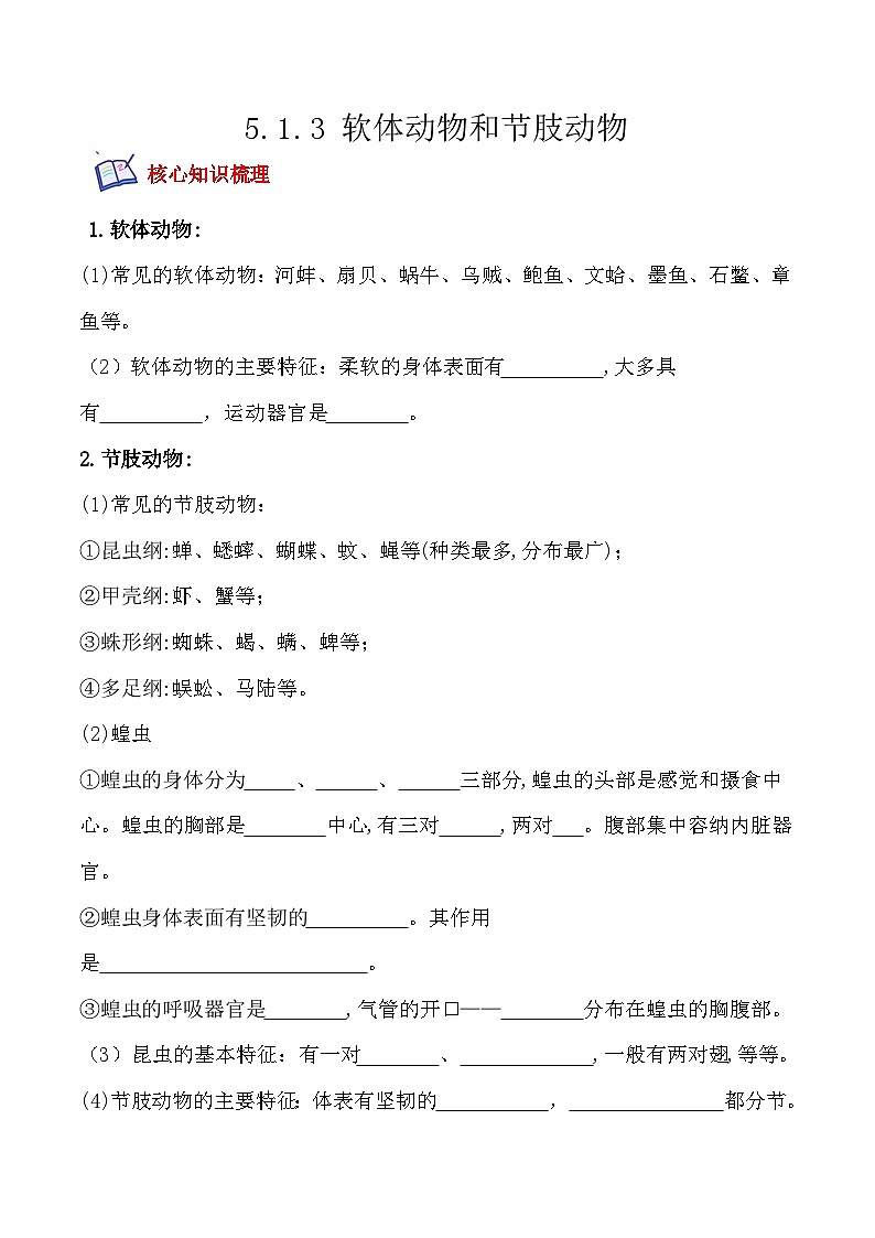 5.1.3软体动物和节肢动物- 八年级生物上册课后培优分级练（人教版）01