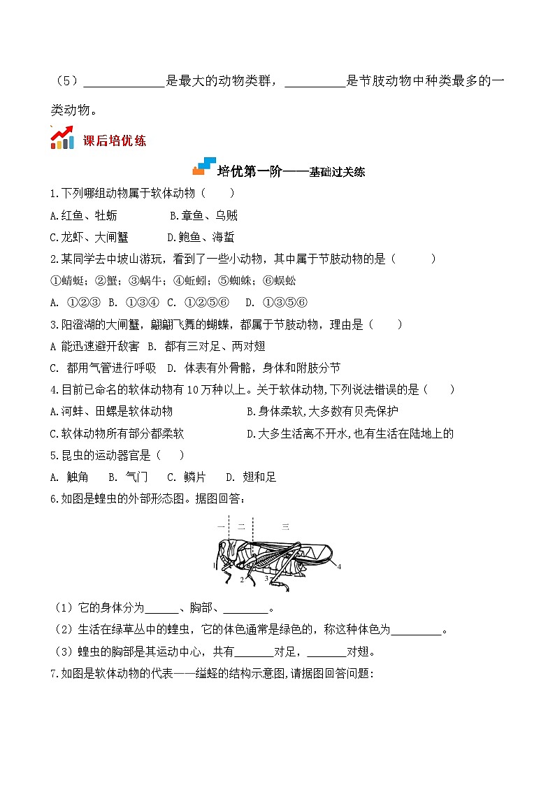 5.1.3软体动物和节肢动物- 八年级生物上册课后培优分级练（人教版）02