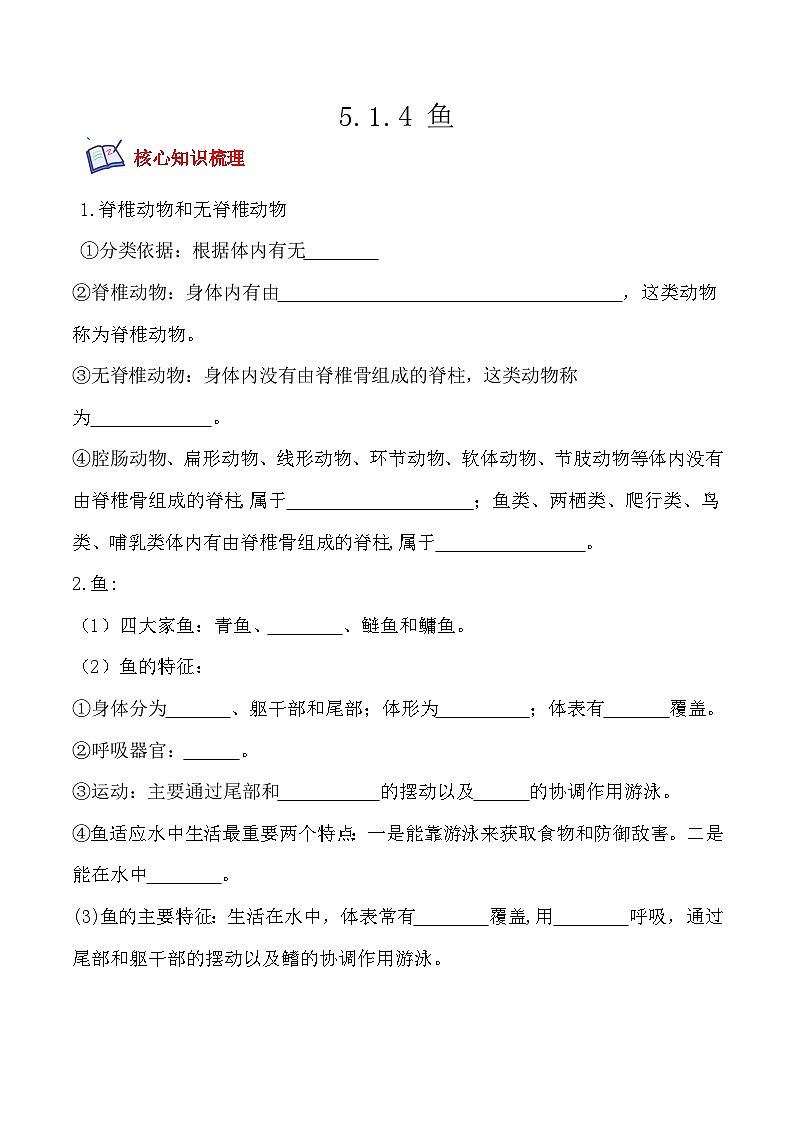 5.1.4鱼- 八年级生物上册课后培优分级练（人教版）01