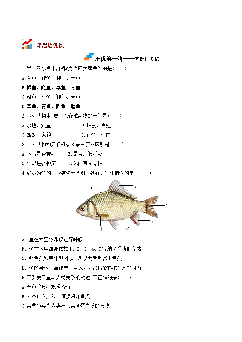 5.1.4鱼- 八年级生物上册课后培优分级练（人教版）02
