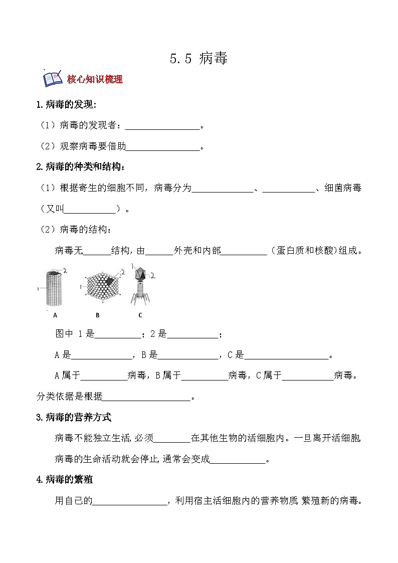 5.5病毒- 八年级生物上册课后培优分级练（人教版）01