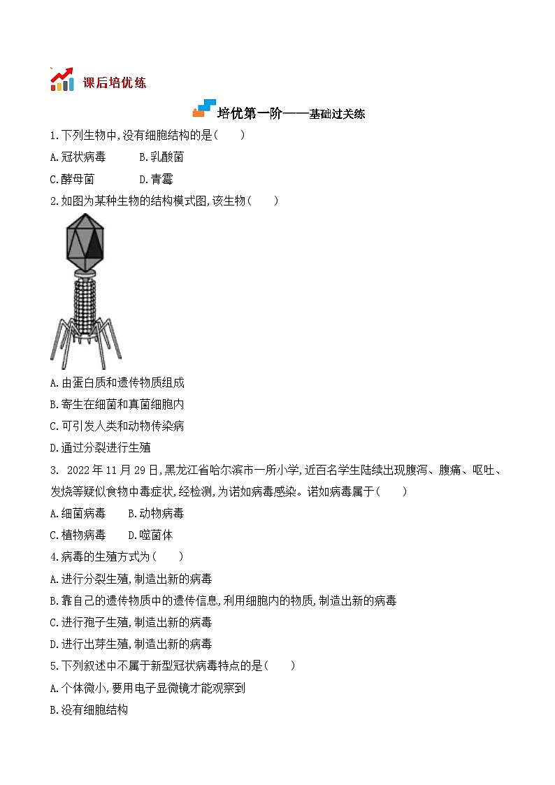5.5病毒- 八年级生物上册课后培优分级练（人教版）02