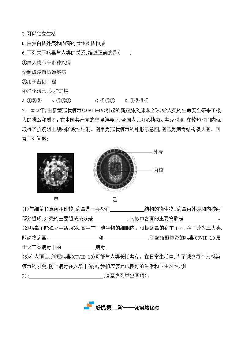 5.5病毒- 八年级生物上册课后培优分级练（人教版）03