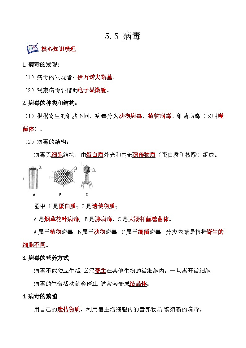 5.5病毒- 八年级生物上册课后培优分级练（人教版）01
