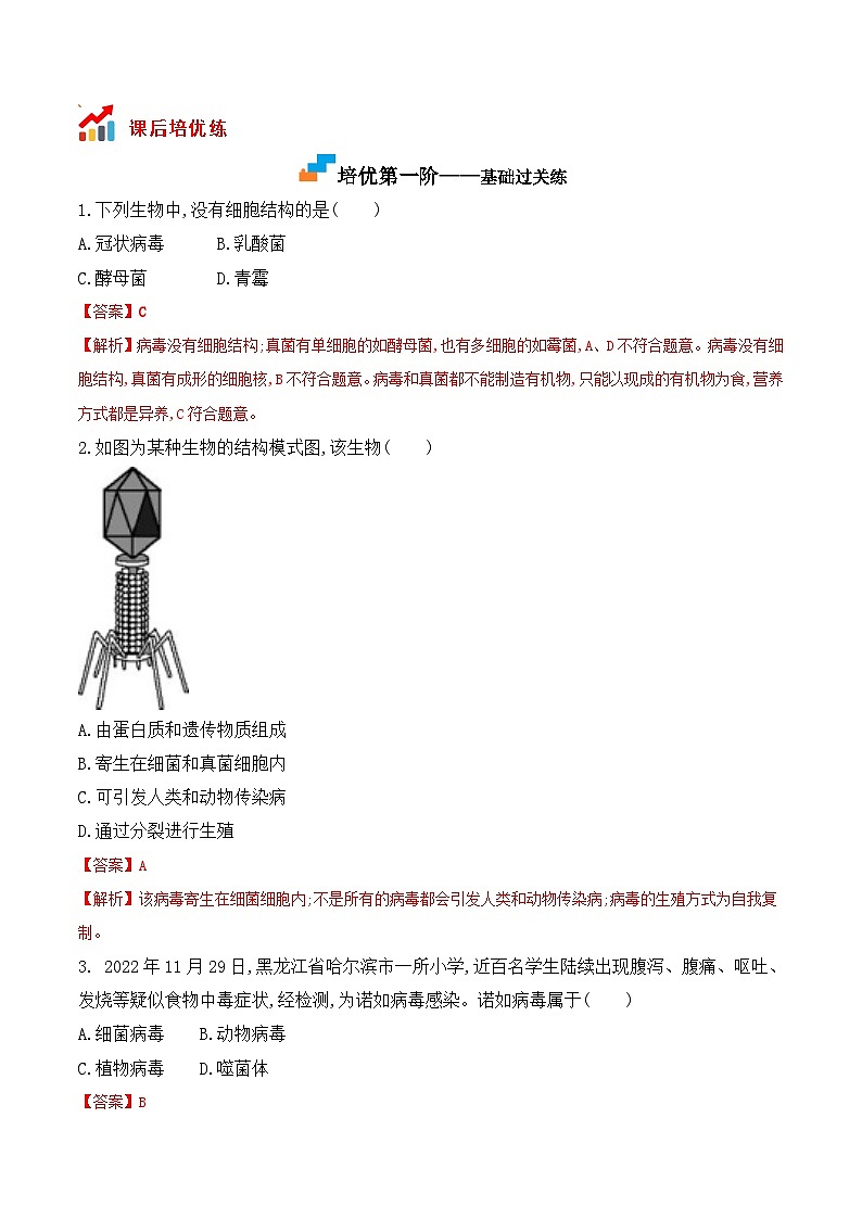 5.5病毒- 八年级生物上册课后培优分级练（人教版）02