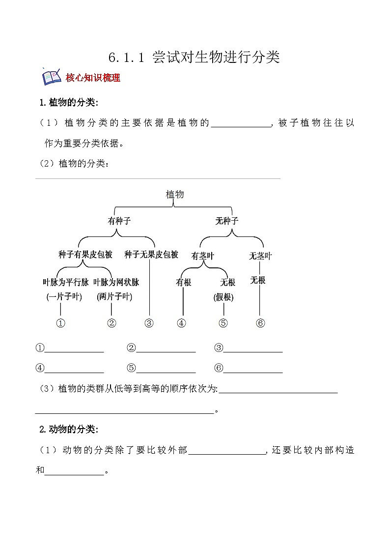 6.1.1尝试对生物进行分类- 八年级生物上册课后培优分级练（人教版）01