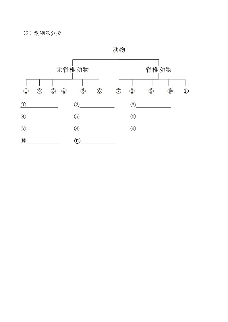 6.1.1尝试对生物进行分类- 八年级生物上册课后培优分级练（人教版）02