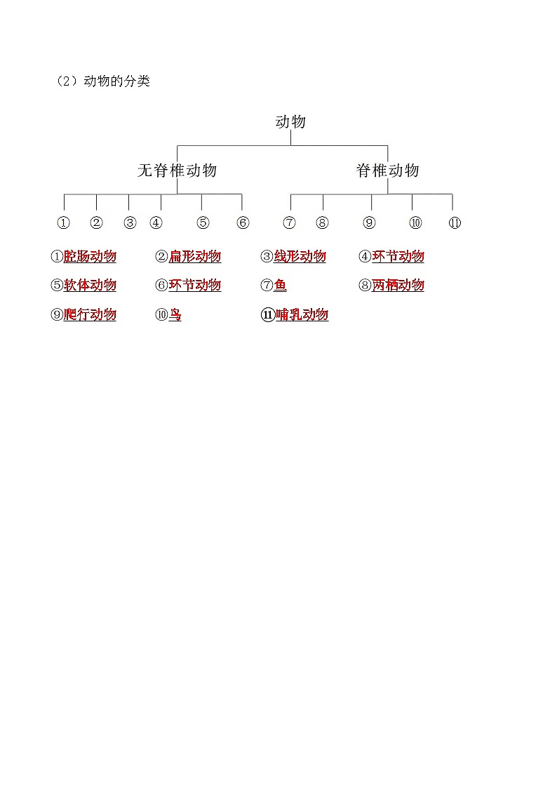 6.1.1尝试对生物进行分类- 八年级生物上册课后培优分级练（人教版）02