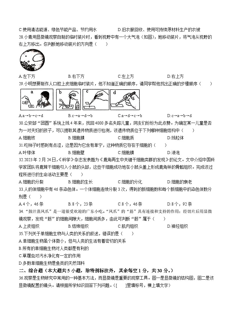 广西梧州市苍梧县2023-2024学年七年级上学期期中生物试题02