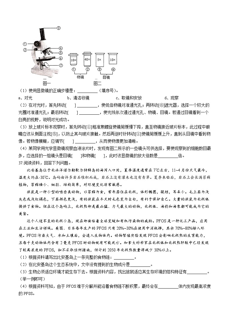 广西梧州市苍梧县2023-2024学年七年级上学期期中生物试题03