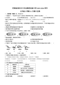 河南省郑州市中牟县第四初级中学2023-2024学年七年级上学期期中生物试题