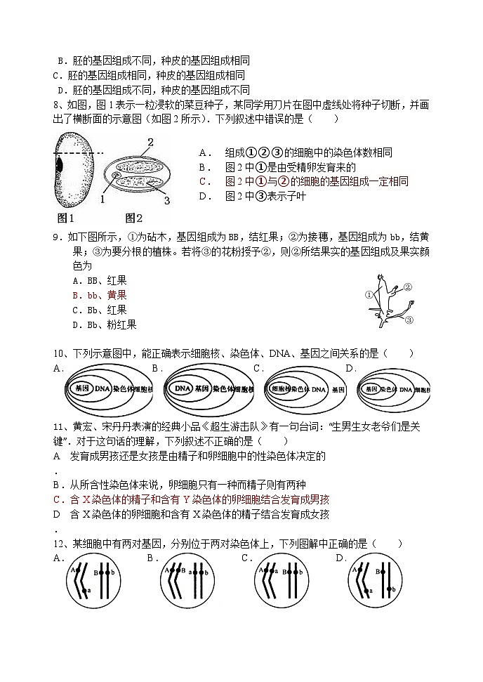 八年级下册生物期中测试题02