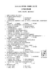 临清市七年级上册生物第二次月考试题及答案